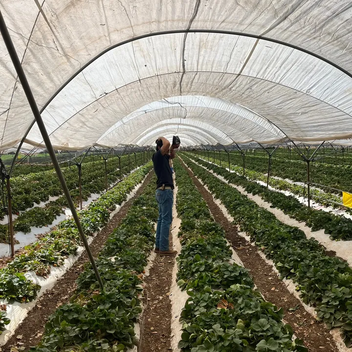 Compa Agricultor 🍓