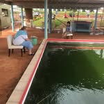 Ali'i Agriculture Farms