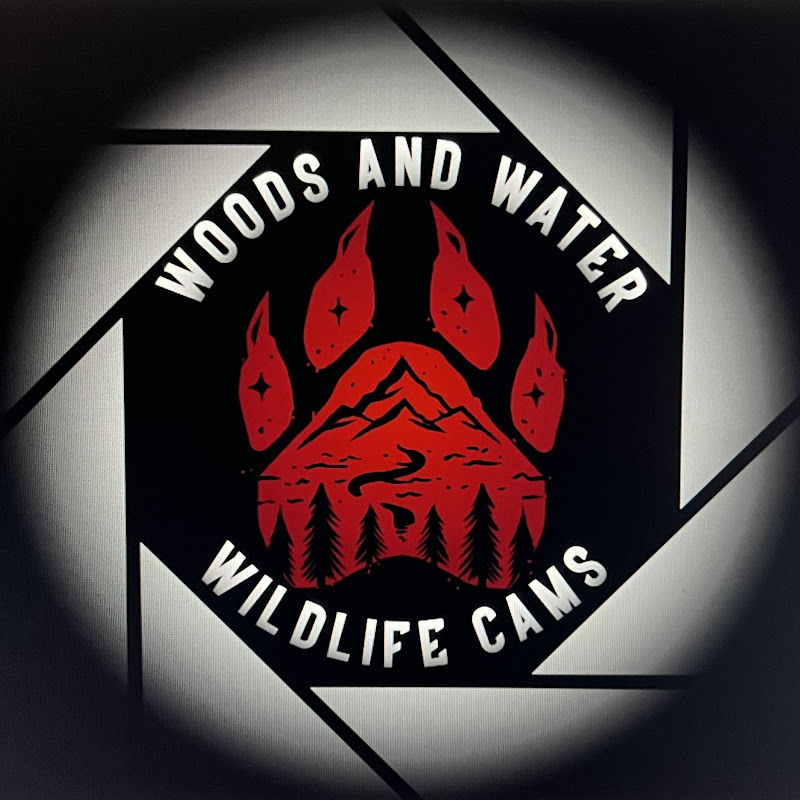 Woods and Water Wildlife Cams