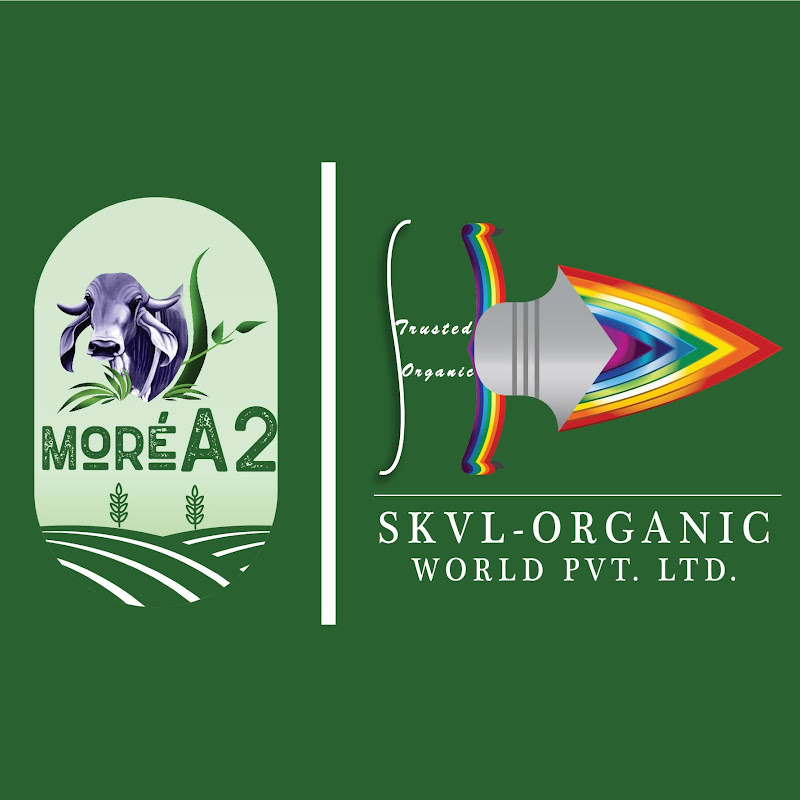 SKVLMoreA2
