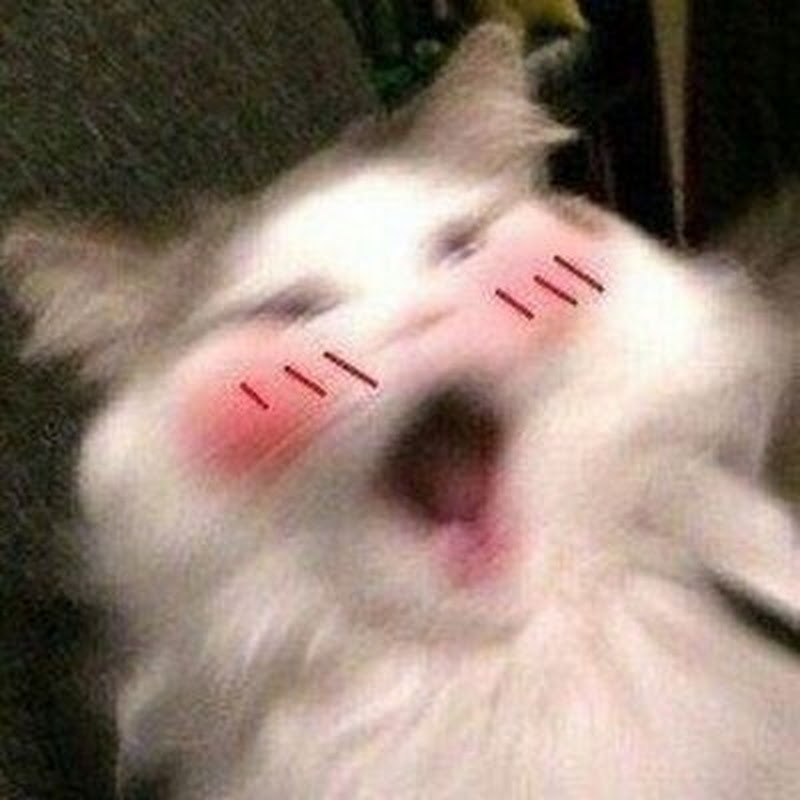 Soft'N ASMR