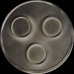 Swedish House Mafia