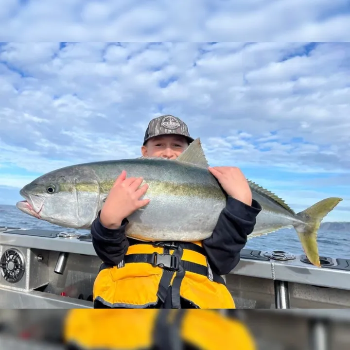 NZFISHERMAN TV 🎣