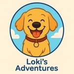 Loki the golden retriever