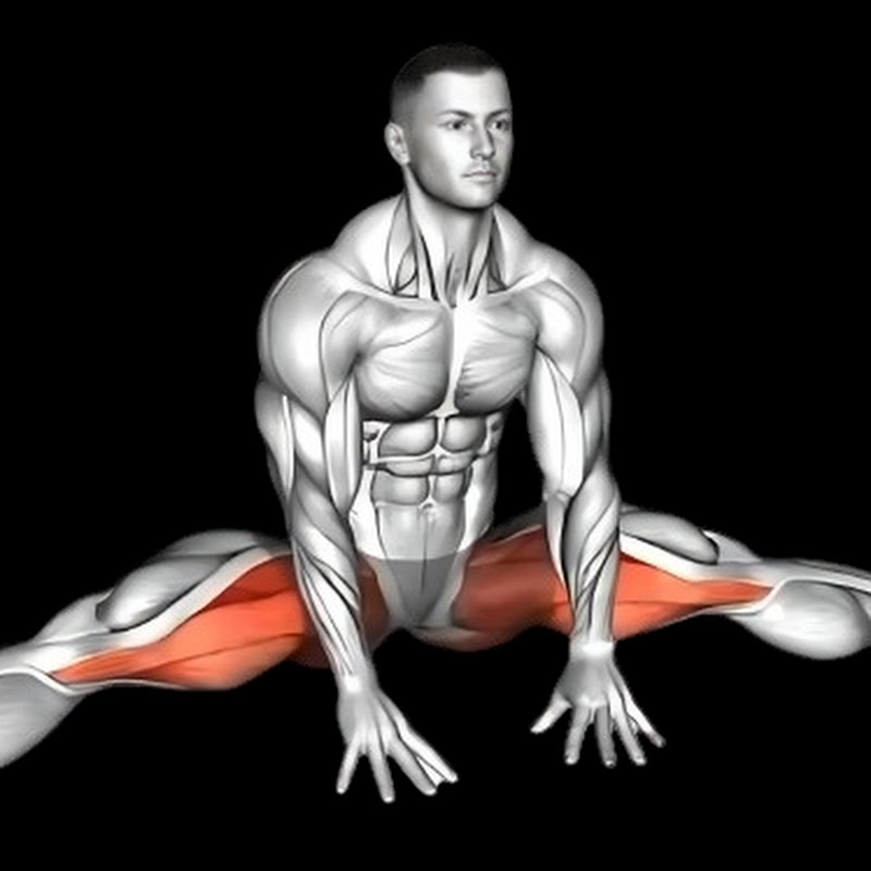 Workout Exercise 2.3K