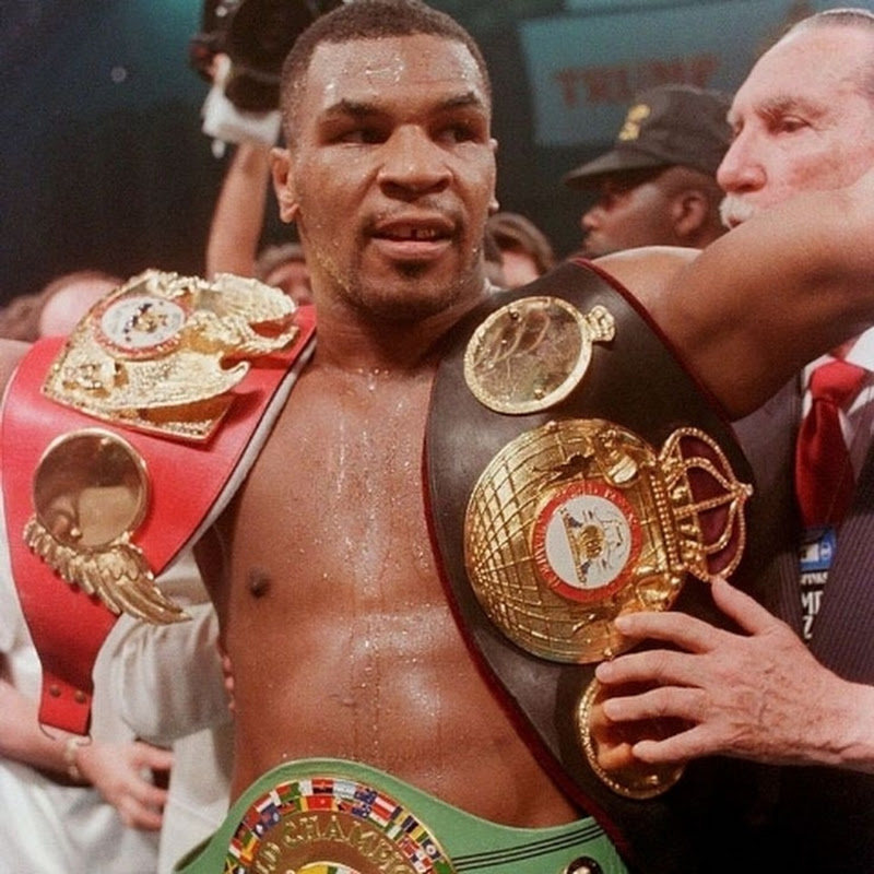 MR. FIGHTS