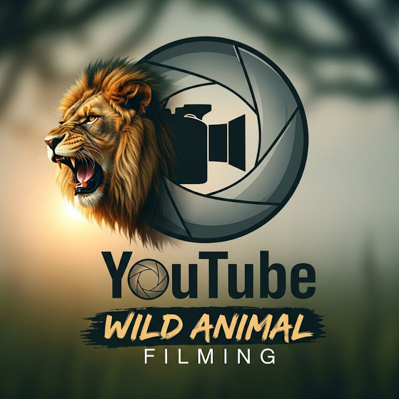 Wild Animal Filming