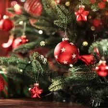 Christmas lover