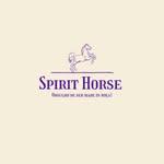 Spirit horse - Moda country