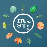 The Montessori School of Tokyo