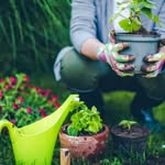 gardening_igbax
