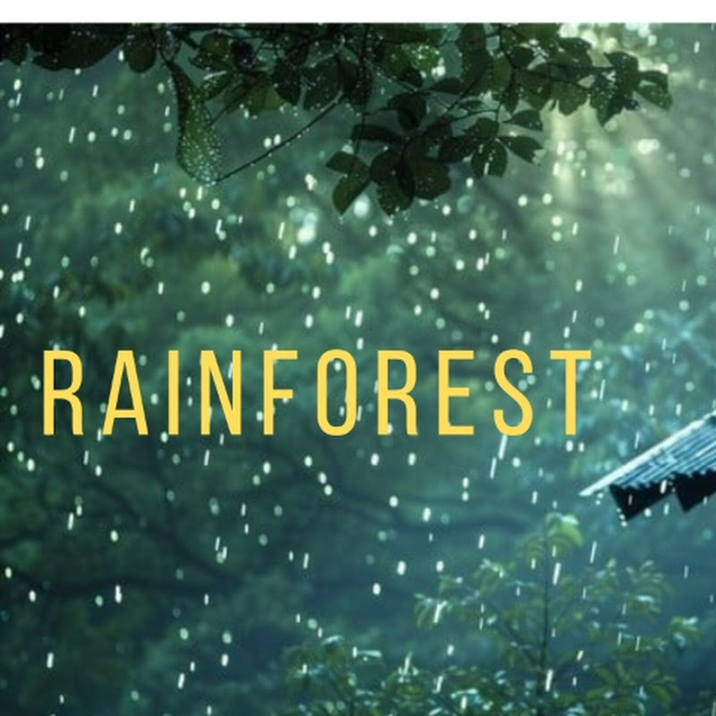 Relaxing Withrain Noise