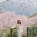 三寶媽咪Angel愛旅行🧳⛺️✈️