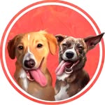 Chico & Laika