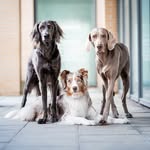 The_sun.and.the_moon