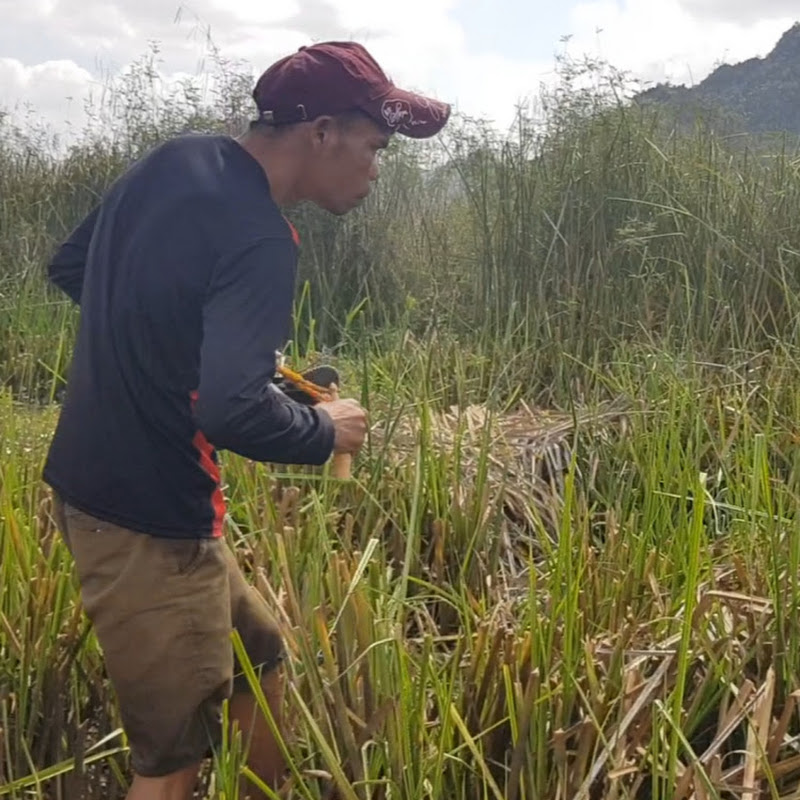 Primitive Country-side