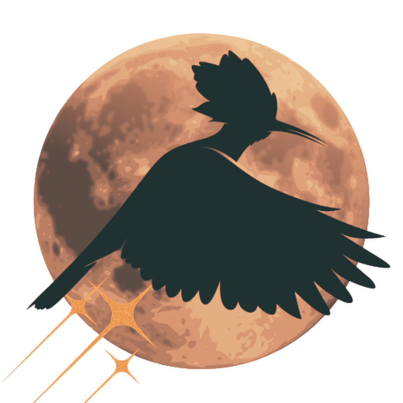 L' Investisseur Musulman Shorts