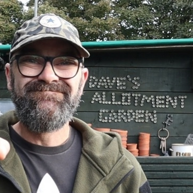 Dave's Allotment Garden and Ting