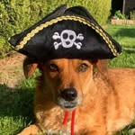 Betty Blackbeard