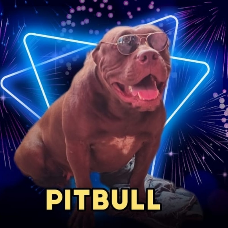 PITBULL BROTHER