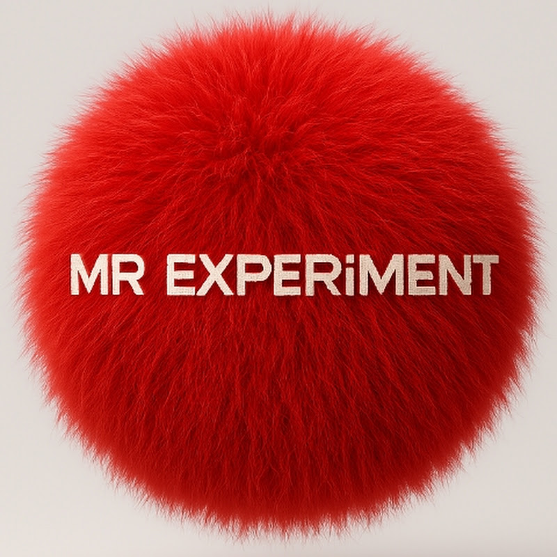 MR Experiment 