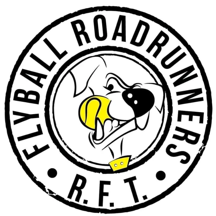 Roadrunnersflyballteam