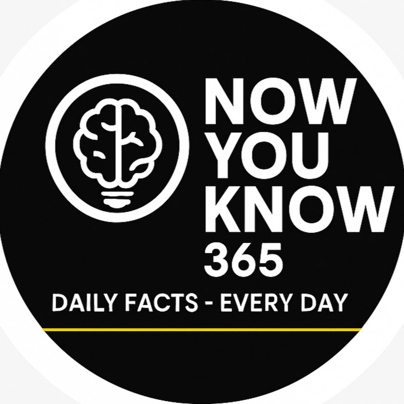 NOW YOU KNOW 365