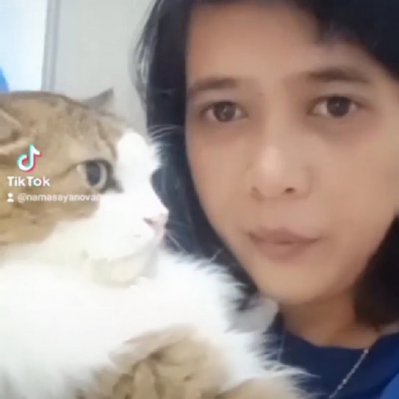 Nova Novita  (Temporarily Inactive)