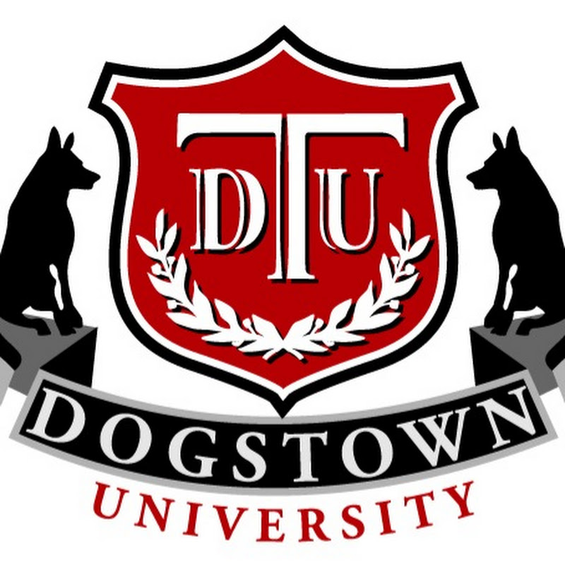 Dogstown University