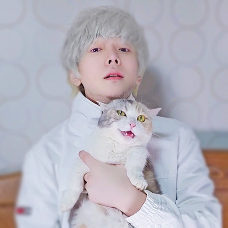 코니tv conitv