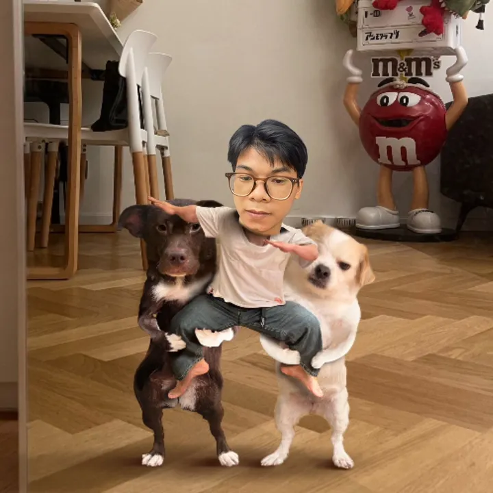 进光