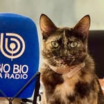 Cuñita Patricia 🐱