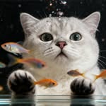 ᴘɪᴘᴘɪ皮皮📍🇭🇰