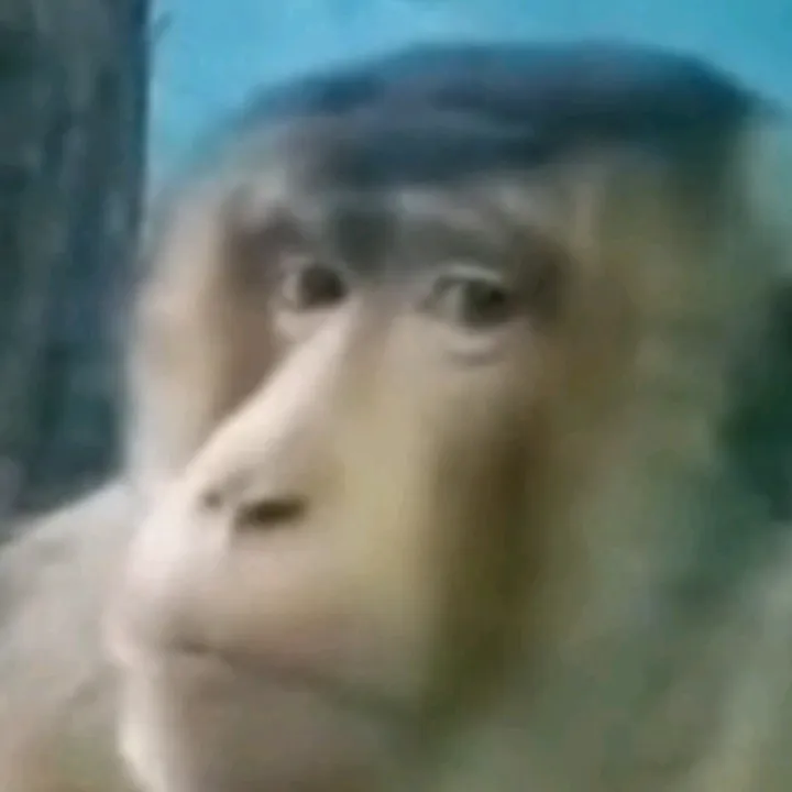 Jiju