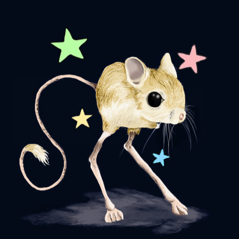dooby
