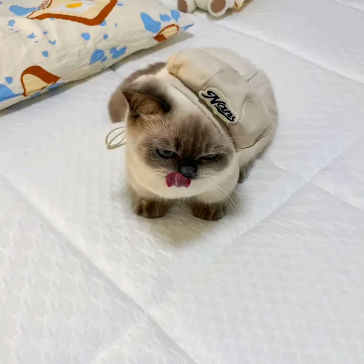 allerki!