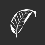 Villa Escalesia Galapagos