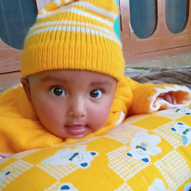 noorvi vlogs