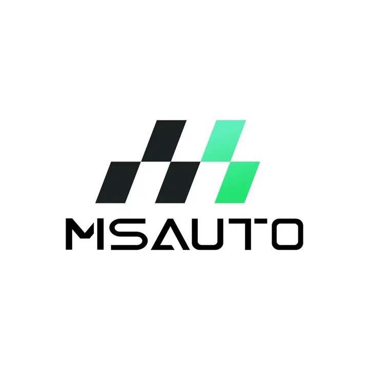 MSautoAfrica