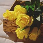 Rawya_photos.     راوية