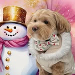 🍯Honey Maltipoo🐶🚺 Model🤳Pawfluencer 🐾 Attention-seeker👀