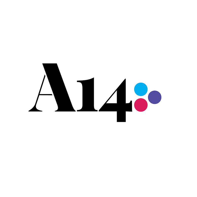 Artículo 14