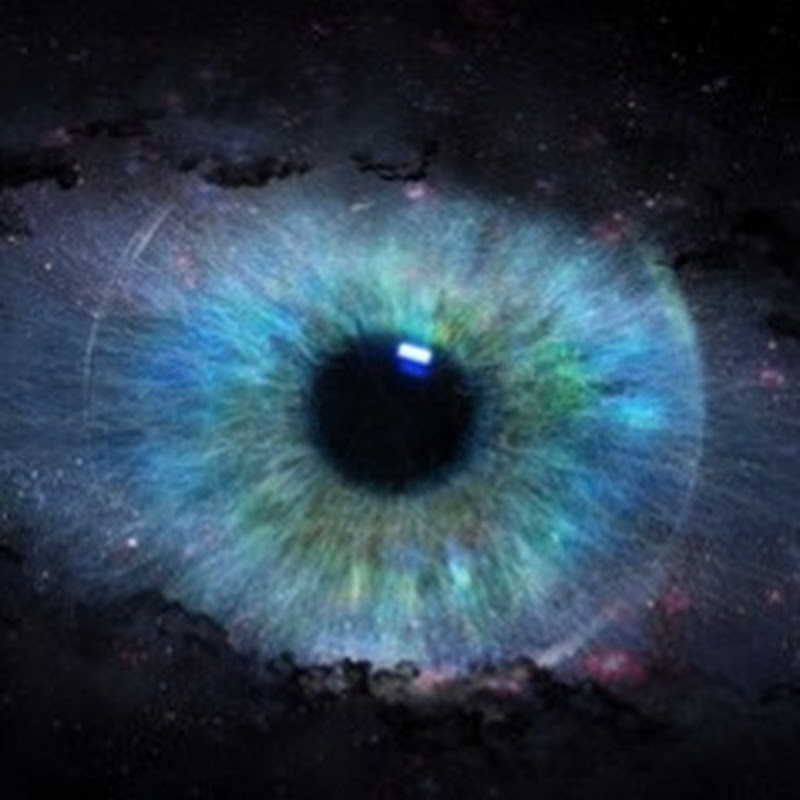 The Adventurous Eye