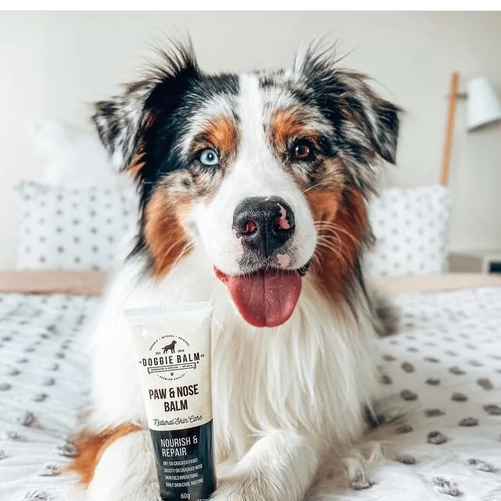 DoggieBalmCo