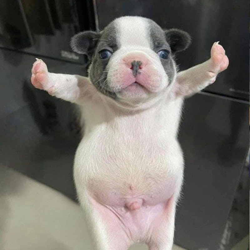 เรื่องน่ารู้