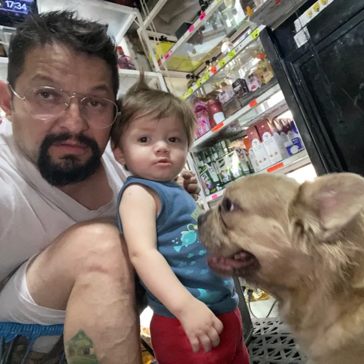 D’monster Bulldog MX