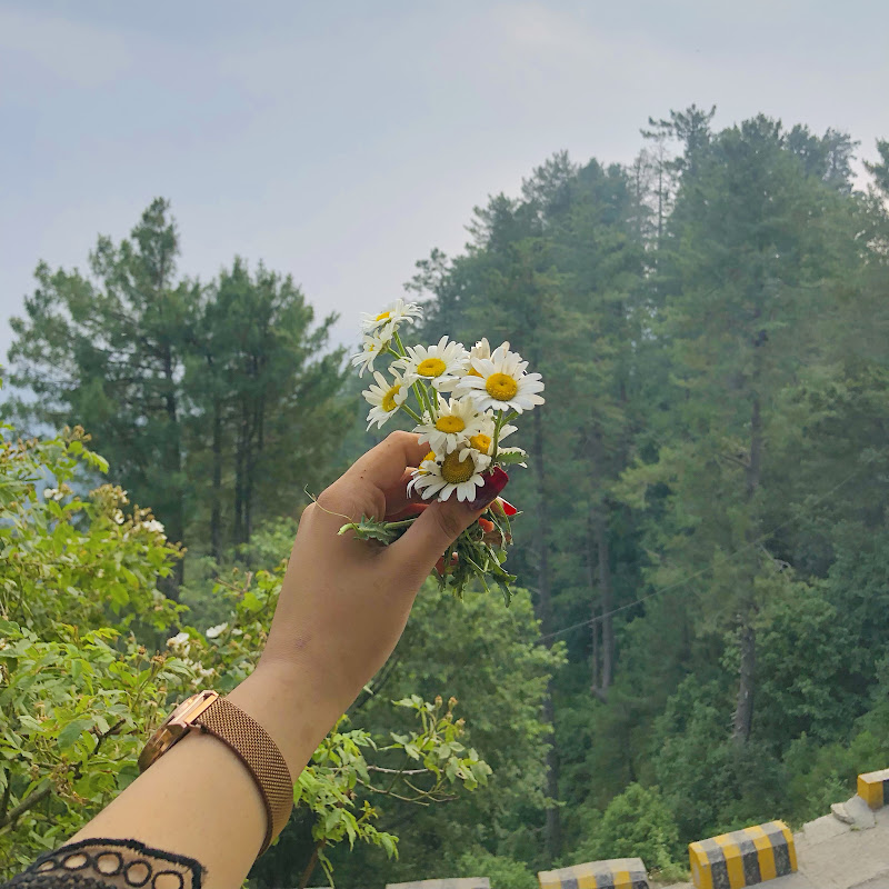 Capture lifestyle with Areej