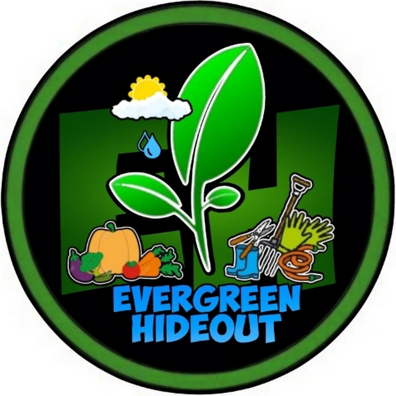 Evergreen Hideout