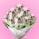 UNICO TE0DORO & KID MACHO 💫