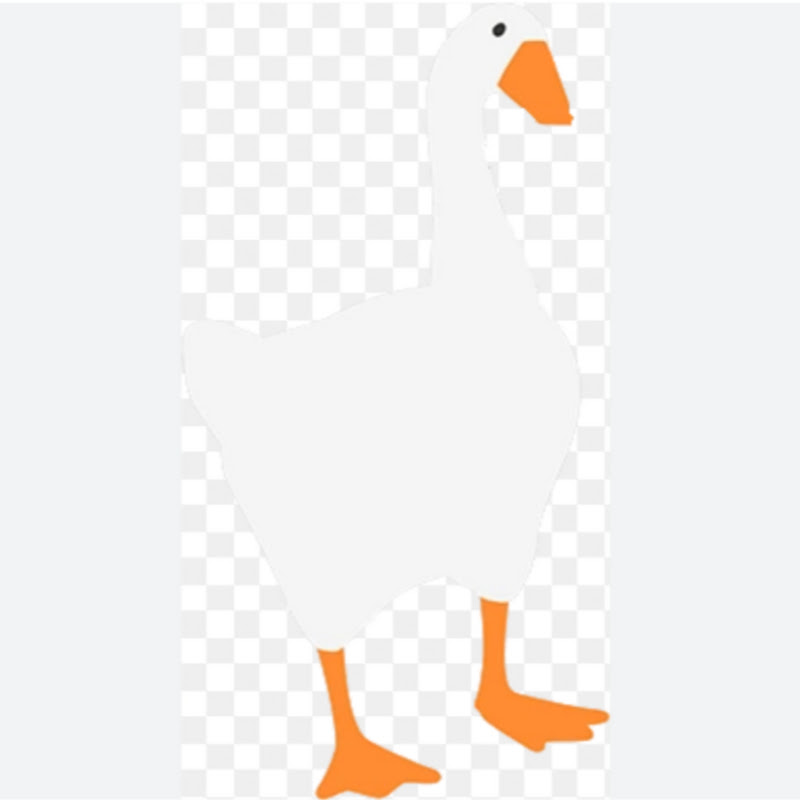 Goose 45 the Vyond Flashthemes Boy 2K8